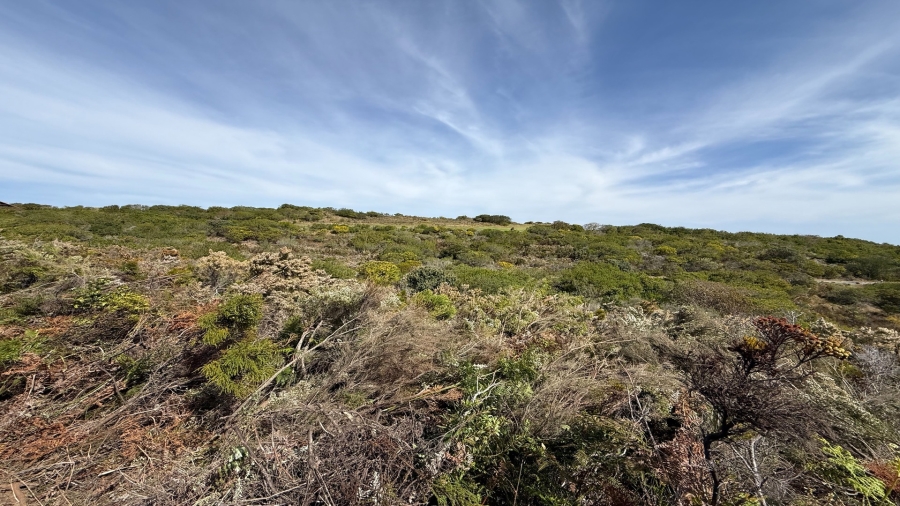 0 Bedroom Property for Sale in Pezula Golf Estate Western Cape